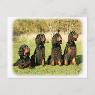 Gordon Setter 9Y105D-080 Briefkaart