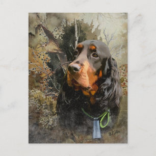 Gordon Setter Briefkaart