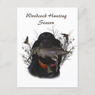 Gordon Setter Briefkaart