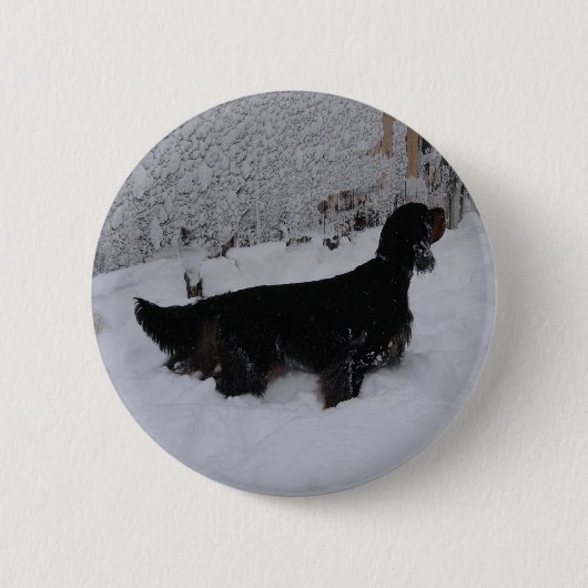 Gordon Setter Button (Voorkant)