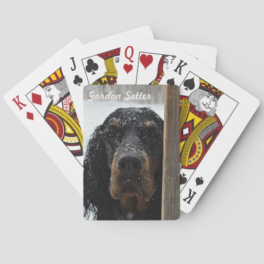 Gordon Setter dans les cartes de jeu en hiver (dos)
