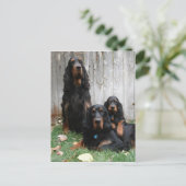 Gordon Setter Generations Briefkaart (Staand voorkant)