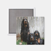Gordon Setter Generations Magnet (Recto/Verso)