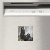 Gordon Setter Generations Magnet (In Situ (Lave-vaisselle))