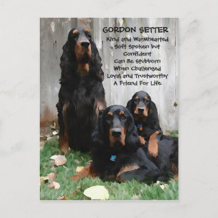 Gordon Setter Generations Painting Briefkaart