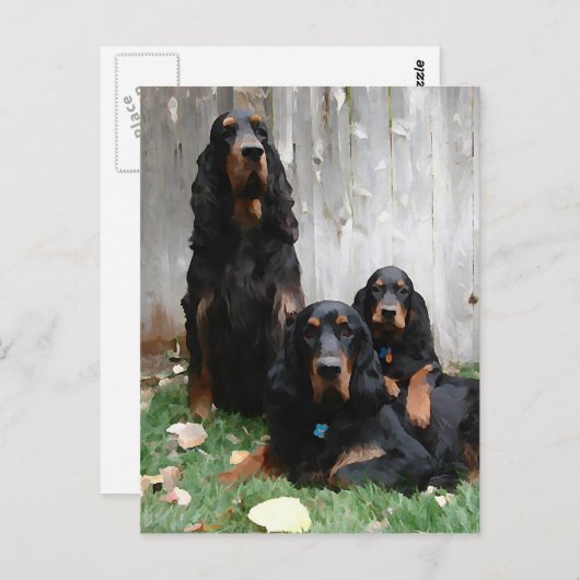 Gordon Setter Generations Peinture Carte postale (Devant / Derrière)