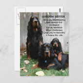 Gordon Setter Generations Peinture Carte postale (Devant / Derrière)