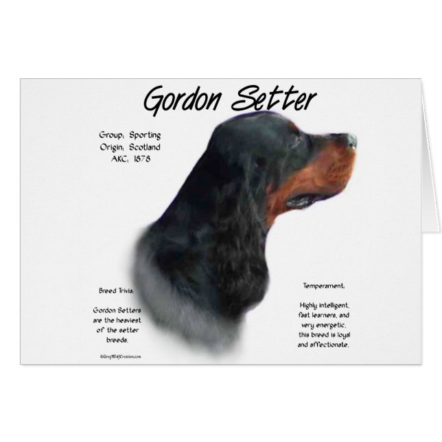 Gordon Setter Geschiedenis Ontwerp (Voorkant Horizontaal)