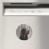 Gordon Setter Magnet (In Situ (Lave-vaisselle))