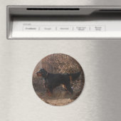 Gordon Setter Magnet Magneet (Insitu (Vaatwasser))