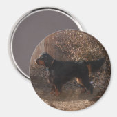 Gordon Setter Magnet Magneet (Voorkant / Achterkant)