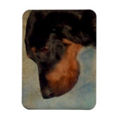 Gordon Setter Magnet Magneet (Verticaal)