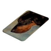 Gordon Setter Magnet Magneet (Linkerzijde)