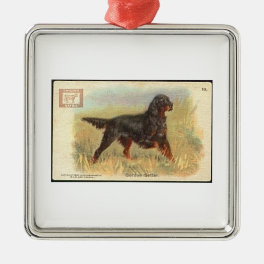 Gordon Setter Ornament (Voorkant)