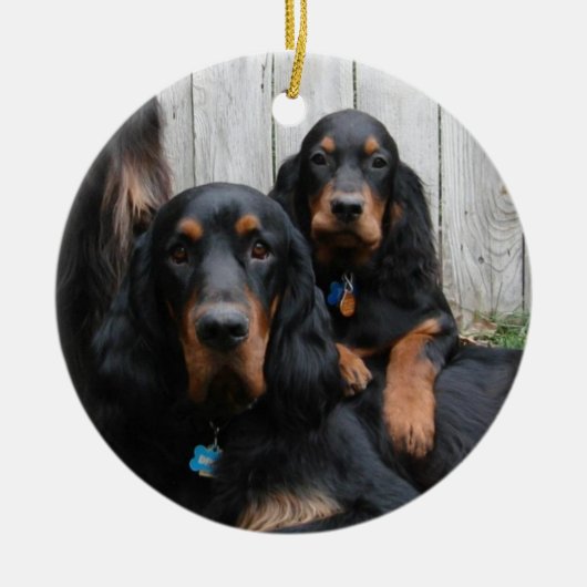 Gordon Setter Pals Foto Ornament (Voorkant)