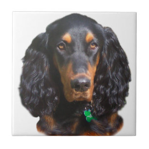 Gordon Setter Portrait Tegeltje
