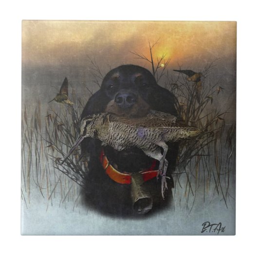 Gordon Setter Tegeltje (Voorkant)