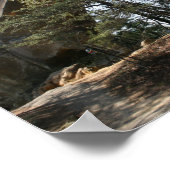 Gorge de la rivière Rouge, KY - affiche de Skybrid (Coin)