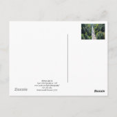 Gorge du Quechee, Vermont - Carte postale (Dos)