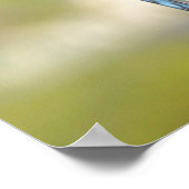 Gorgeous Blue Jay Poster or Print (Coin)