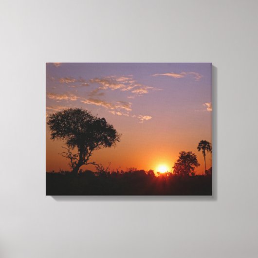 GORGEOUS BOTSWANA SUNSET CANVAS AFDRUK (Voorkant)