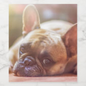 Gorgeous french bulldog lying down wijn etiket (Enkel label)