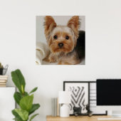 Gorgeous Yorkshire Terrier Poster (Thuiskantoor)