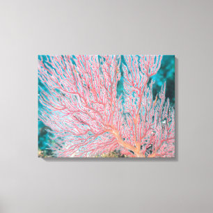 Gorgonisch koraal 3 canvas afdruk