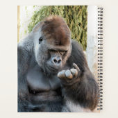 GORILLA (Dos)