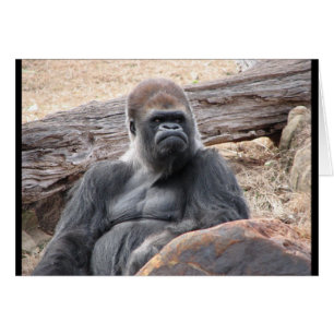 gorilla