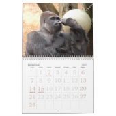 Gorilla_004 Gorilla Kalender (Feb 2027)