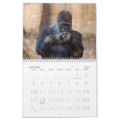 Gorilla_004 Gorilla Kalender (Jan 2027)