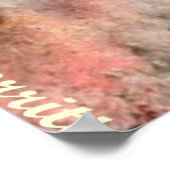 GORILLA 2 POSTER (Hoek)