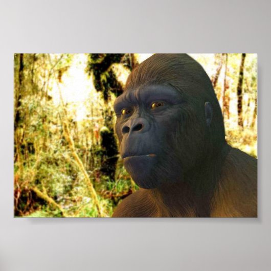 Gorilla 2 poster (Voorkant)