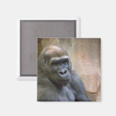 GORILLA, aimant (Recto/Verso)