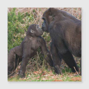 Gorilla Baby's Affectionate voor moeder