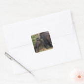 Gorilla Baby's Affectionate voor moeder Vierkante Sticker (Envelop)