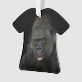 Gorilla Biddy (devant)