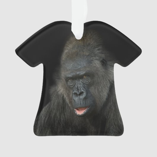Gorilla Biddy (devant)