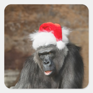 Gorilla Biddy in een feestelijke kersthoed Vierkante Sticker