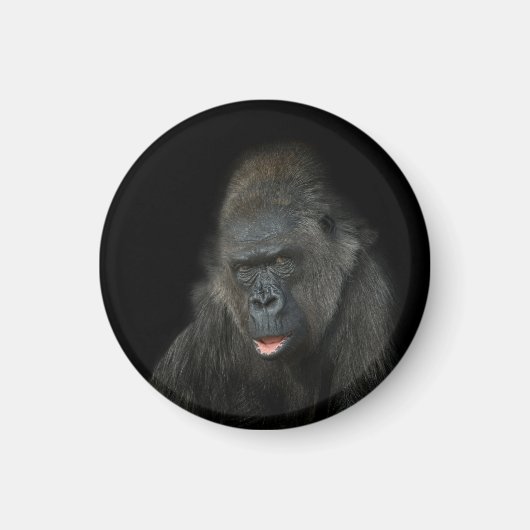 Gorilla Biddy Magneet (Voorkant)