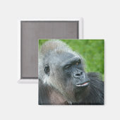 Gorilla Biddy Magneet (Voorkant / Achterkant)