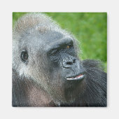 Gorilla Biddy Magneet (Voorkant)