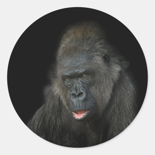 Gorilla Biddy Ronde Sticker (Voorkant)