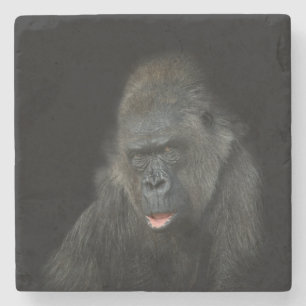 Gorilla Biddy Stenen Onderzetter