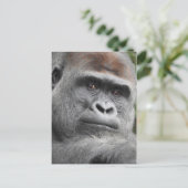 Gorilla Briefkaart (Staand voorkant)
