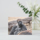 gorilla briefkaart (Staand voorkant)