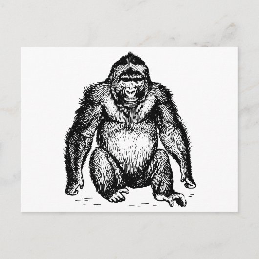 Gorilla Briefkaart (Voorkant)