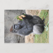 Gorilla Briefkaart (Voorkant)