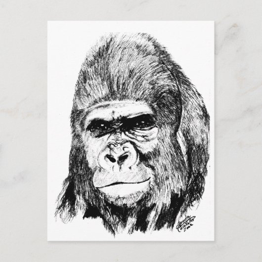 Gorilla Briefkaart (Voorkant)